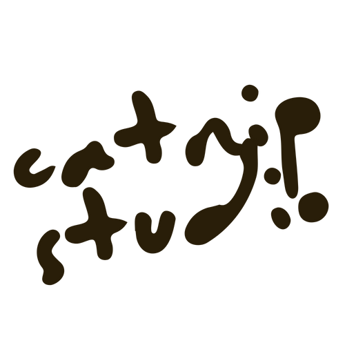 Shop Catnip Studio